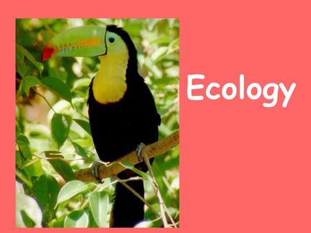 Ecology.