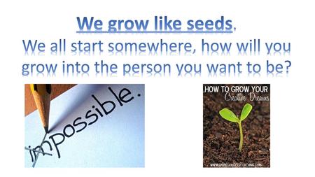 We grow like seeds. We all start somewhere, how will you grow into the person you want to be?