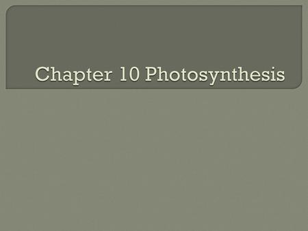 Chapter 10 Photosynthesis