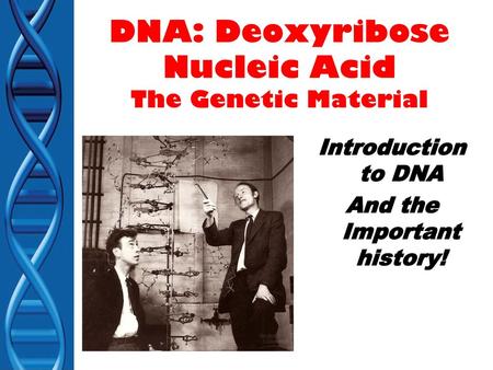 DNA: Deoxyribose Nucleic Acid The Genetic Material