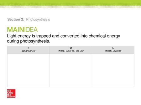 Section 2: Photosynthesis