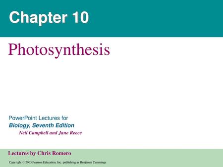 Chapter 10 Photosynthesis.