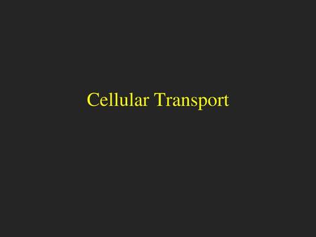 Cellular Transport.