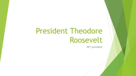 President Theodore Roosevelt