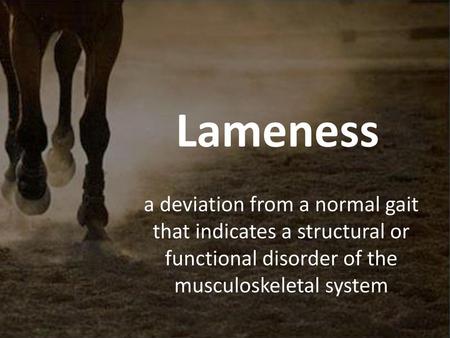 Lameness a deviation from a normal gait that indicates a structural or functional disorder of the musculoskeletal system.