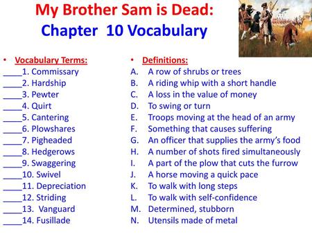 My Brother Sam is Dead: Chapter 10 Vocabulary