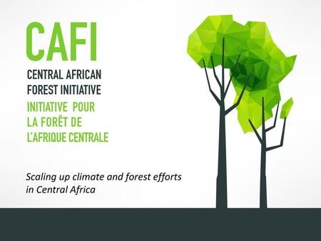 Scaling up climate and forest efforts  in Central Africa