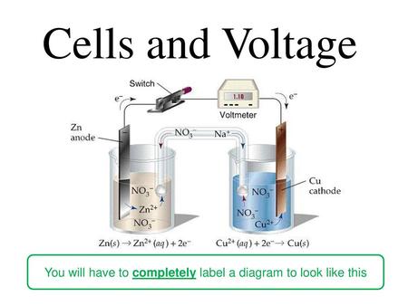 You will have to completely label a diagram to look like this