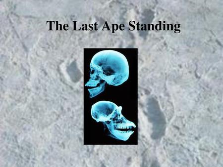 The Last Ape Standing.