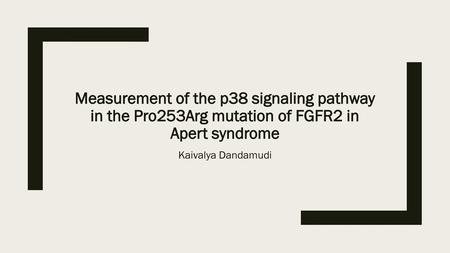 Measurement of the p38 signaling pathway in the Pro253Arg mutation of FGFR2 in Apert syndrome Kaivalya Dandamudi.