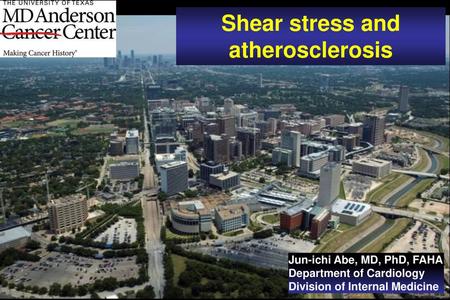 Shear stress and atherosclerosis