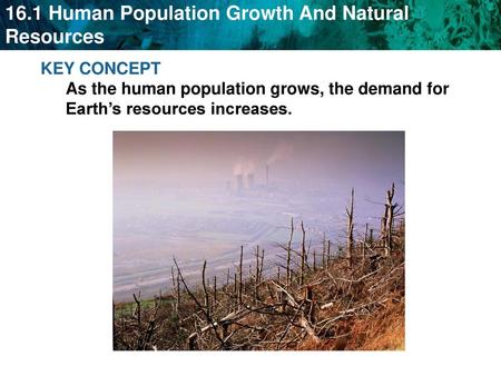 Human population DOT video