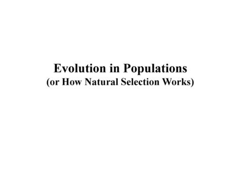 Evolution in Populations (or How Natural Selection Works)