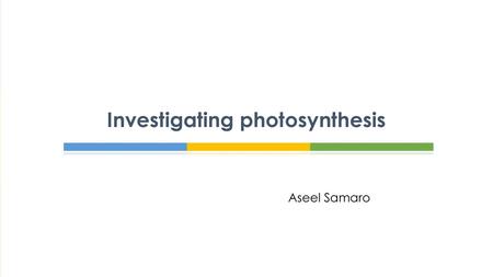 Investigating photosynthesis