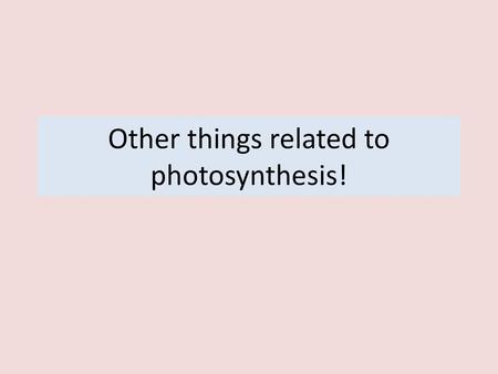 Other things related to photosynthesis!