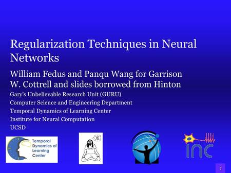 Regularization Techniques in Neural Networks