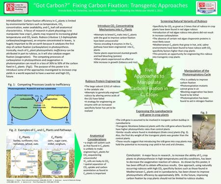 “Got Carbon?” Fixing Carbon Fixation: Transgenic Approaches