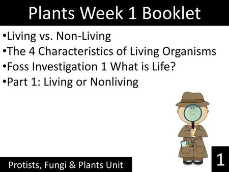 Protists, Fungi & Plants Unit