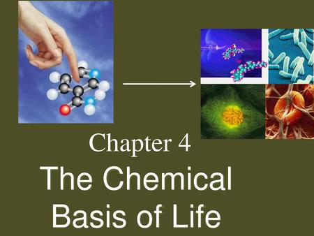 The Chemical Basis of Life