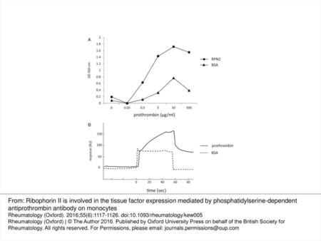 (A) The binding between purified prothrombin and V5-His-RPN2 (filled circle) was confirmed by ELISA. BSA (filled triangle) was used as the control. The.