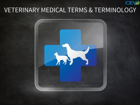 Objectives To identify veterinary terms and to discover their meanings and recognize common Greek and Latin prefixes, suffixes and roots. To recognize,