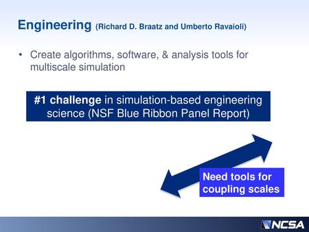 Engineering (Richard D. Braatz and Umberto Ravaioli)