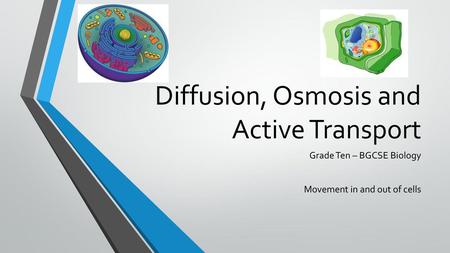 Diffusion, Osmosis and Active Transport