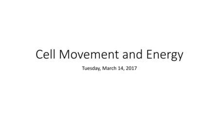 Cell Movement and Energy