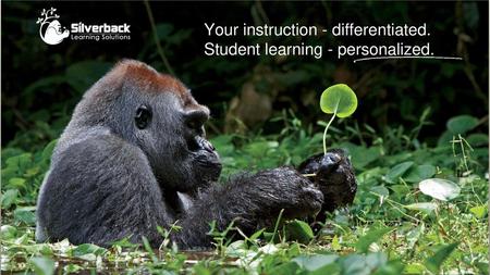 Your instruction - differentiated. Student learning - personalized.