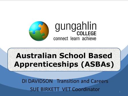 DI DAVIDSON Transition and Careers SUE BIRKETT VET Coordinator