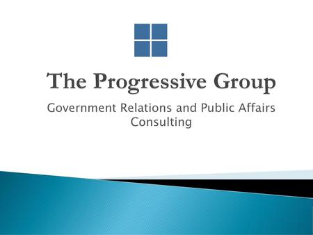 Government Relations and Public Affairs Consulting