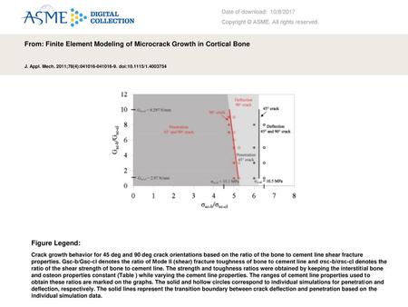 From: Finite Element Modeling of Microcrack Growth in Cortical Bone