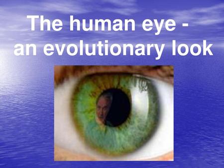 The human eye - an evolutionary look.