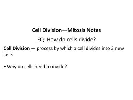 Cell Division—Mitosis Notes