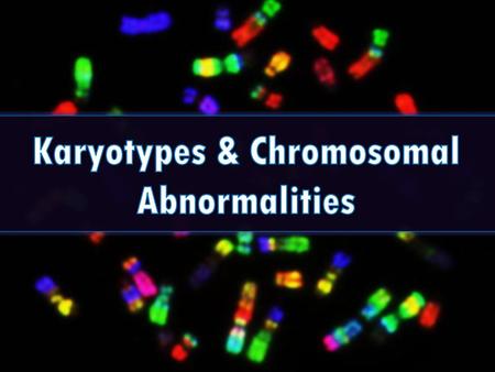 Karyotypes & Chromosomal Abnormalities