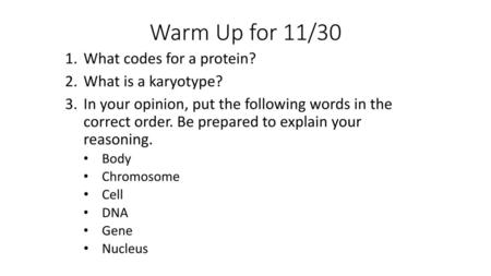 Warm Up for 11/30 What codes for a protein? What is a karyotype?