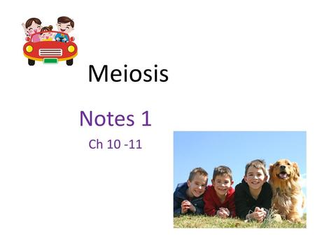 Meiosis Notes 1 Ch 10 -11 Meiosis.