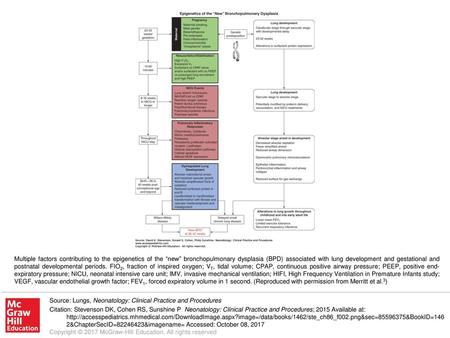 Multiple factors contributing to the epigenetics of the “new” bronchopulmonary dysplasia (BPD) associated with lung development and gestational and postnatal.