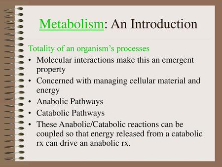 Metabolism: An Introduction