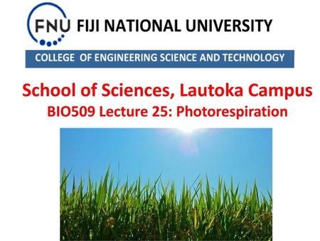 School of Sciences, Lautoka Campus BIO509 Lecture 25: Photorespiration