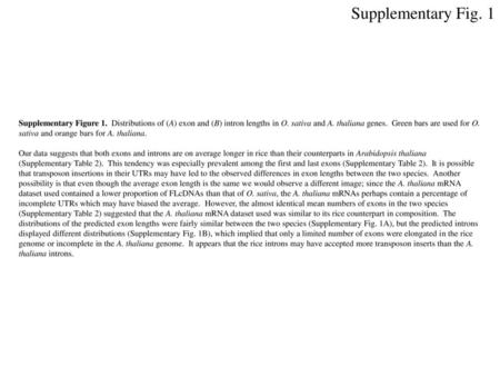 Supplementary Fig. 1 Supplementary Figure 1. Distributions of (A) exon and (B) intron lengths in O. sativa and A. thaliana genes. Green bars are used.