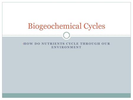 Biogeochemical Cycles