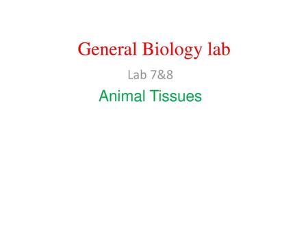 General Biology lab Lab 7&8 Animal Tissues.