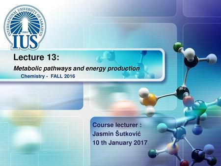 Lecture 13: Metabolic pathways and energy production