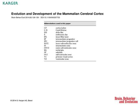 Evolution and Development of the Mammalian Cerebral Cortex