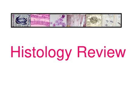 Histology Review.