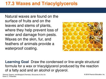 17.3 Waxes and Triacylglycerols