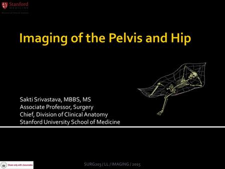 Imaging of the Pelvis and Hip