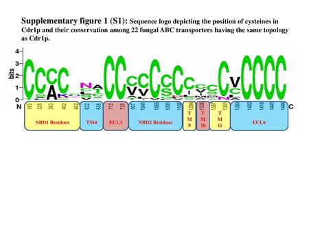 Supplementary figure 1 (S1): Sequence logo depicting the position of cysteines in Cdr1p and their conservation among 22 fungal ABC transporters having.