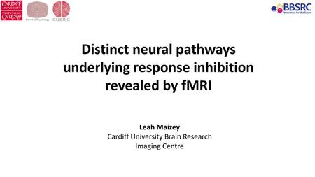 Cardiff University Brain Research Imaging Centre